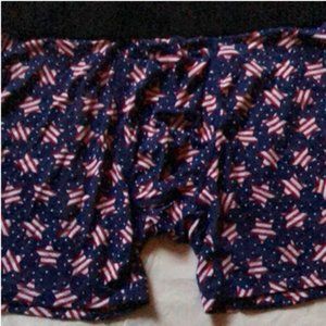 Boxer brief Stars & Stripes mens new size M waist 32-34" Silkskins Terramar